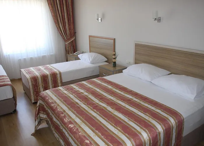 Hotel Ejder